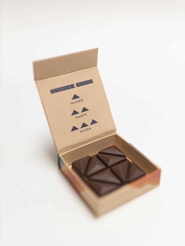 4g Fun Guy Chocolate Bar - Image 13